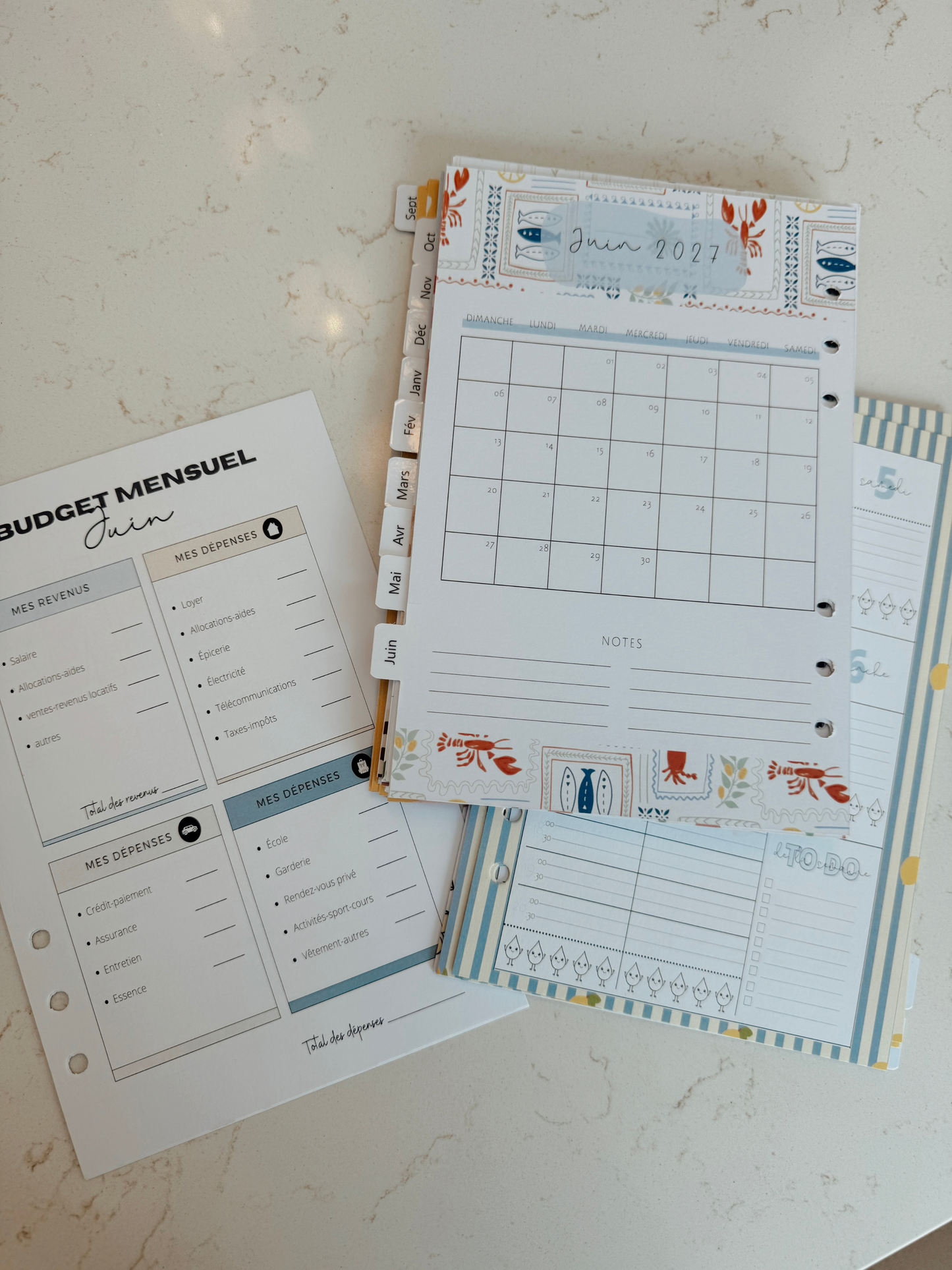 PRÉCOMMADE-Feuilles-recharges pour agenda complète 26-27 - Disponible en petit & grand