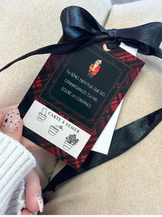 Cartes en papier de graines plantables avec graines de fleurs sauvages intégrées