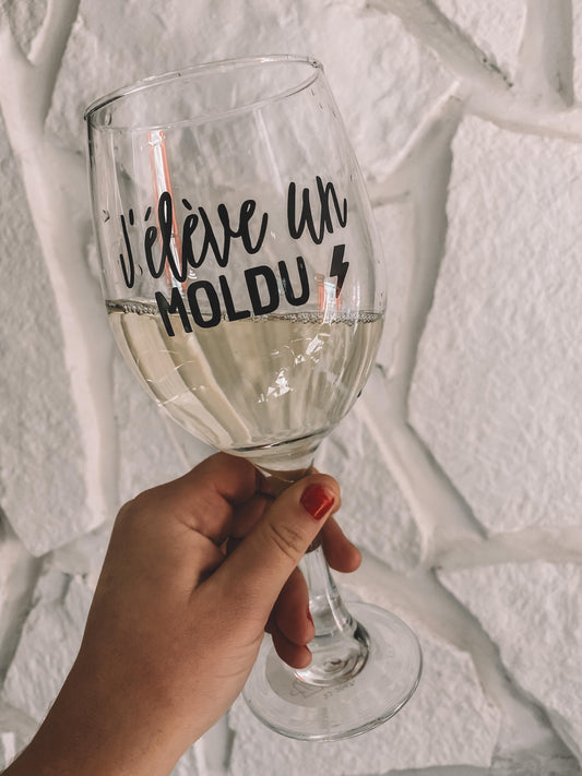 Autocollant J'éduque/J'élève un moldu